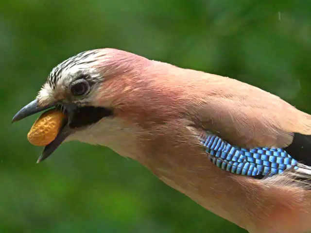 Puh, jetzt ist sie raus!