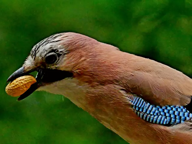 Nehm sie besser so mit!