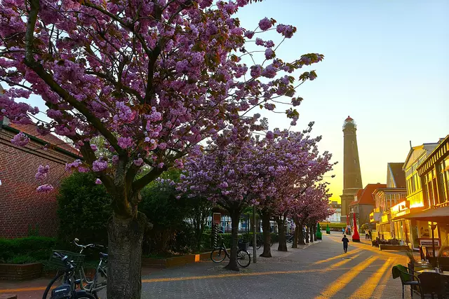 Abendspaziergang am Ankunftstag: Kirschbaumblüte, neuer Leuchtturm und schöne Altbauten | Foto: Shima Mahi