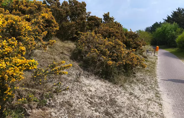 Es ist ein Genuss, hier durchzuwandern.  | Foto: Shima Mahi