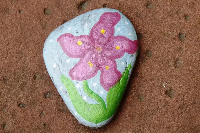 Die Blume auf dem Wanderstein.