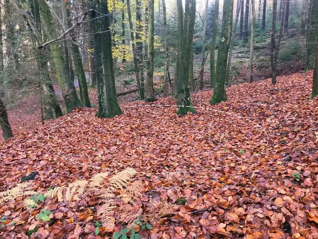 Standort eines alten Meilerplatzes