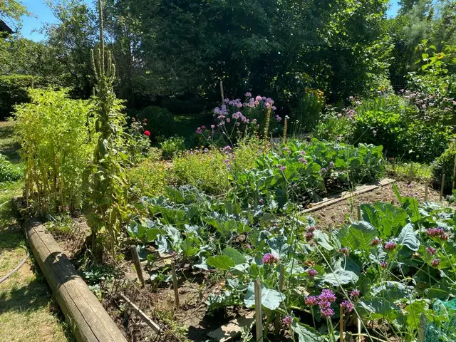 Zertifizierung als Naturgarten - Aktion Bayern blüht – Auch in diesem Jahr sind Gartenbesitzer aufgerufen, an der Aktion „Bayern blüht“ teilzunehmen und ihr Schmuckstück als Naturgarten zertifizieren zu lassen. | Foto: Landratsamt Dillingen a.d.Donau