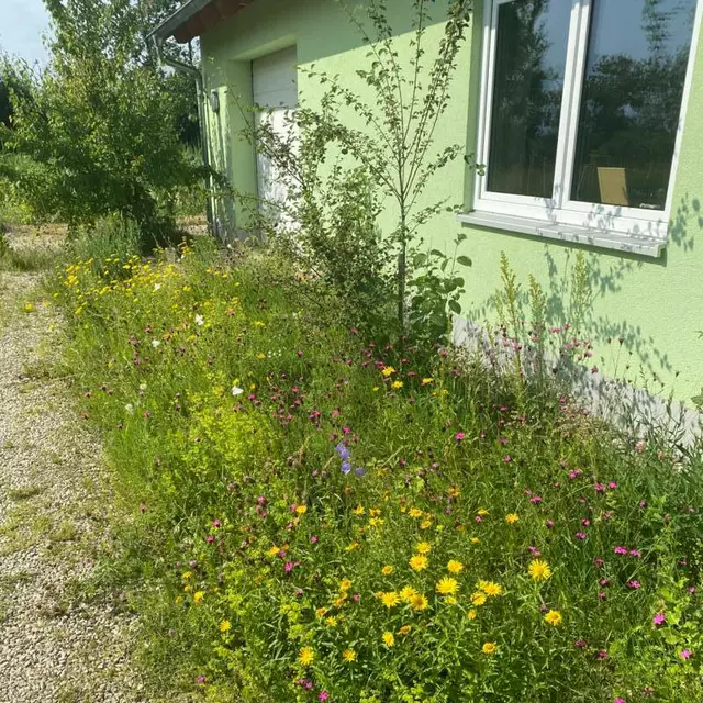 Tag der offenen Gartentür – Zum Tag der offenen Gartentür können in ganz Schwaben wieder private Gärten besichtigt werden, auch im Landkreis. | Foto: Landratsamt Dillingen a.d.Donau