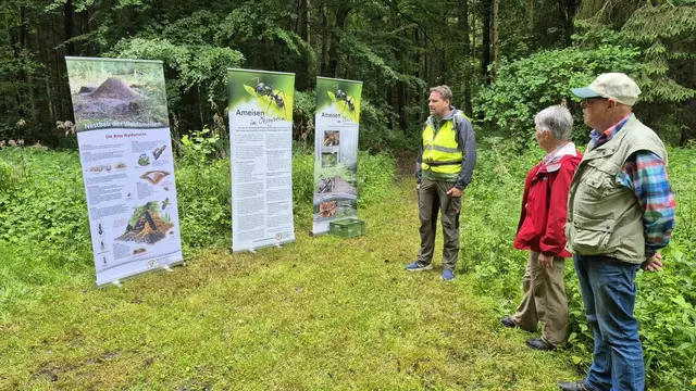 Vorstellung der Waldameise durch Franz Bürger | Foto: Reinhard Reiter
