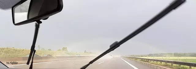 Foto: Iris Alefelder