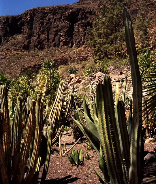 Ein ungewöhnlicher Bildausschnitt kann ebenfals für Abwechslung im Fotoalbum sorgen.