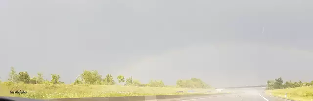 Foto: Iris Alefelder