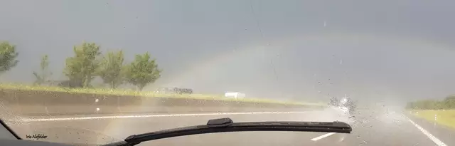 Foto: Iris Alefelder