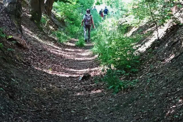 Hohlweg - Europawanderweg - nach Wippra