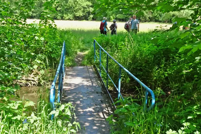 Brücke Schmale Wipper