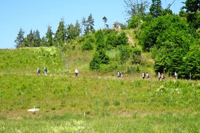 auf dem Weg zur Dammkrone (Luftseite)