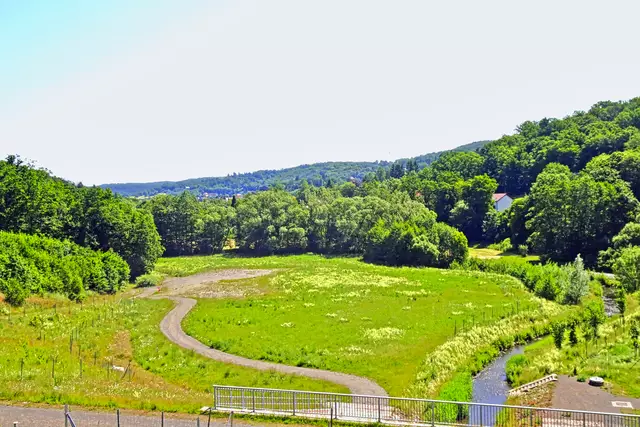 Blick von der Dammkrone nach Wippra (Luftseite)