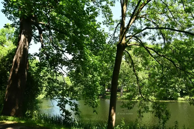 Bremen entdecken (Foto: Katja Woidtke)

Idylle in den Bremer Wallanlagen | Foto: Katja Woidtke