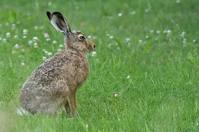 Foto: Copyright Andreas Schäfer