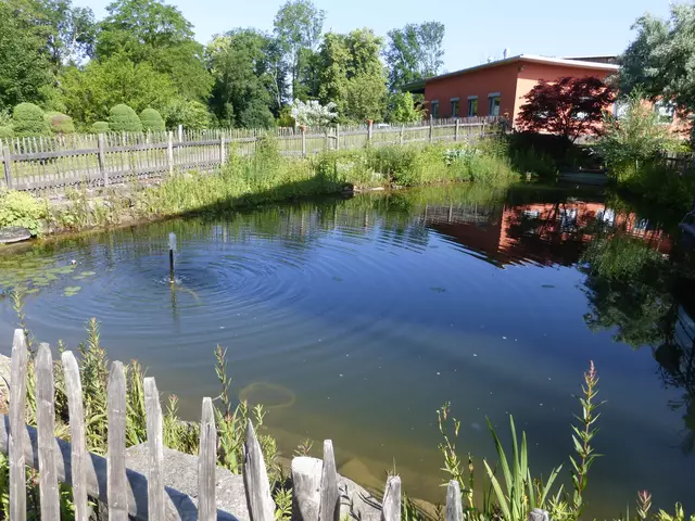 Foto: M.Heilander