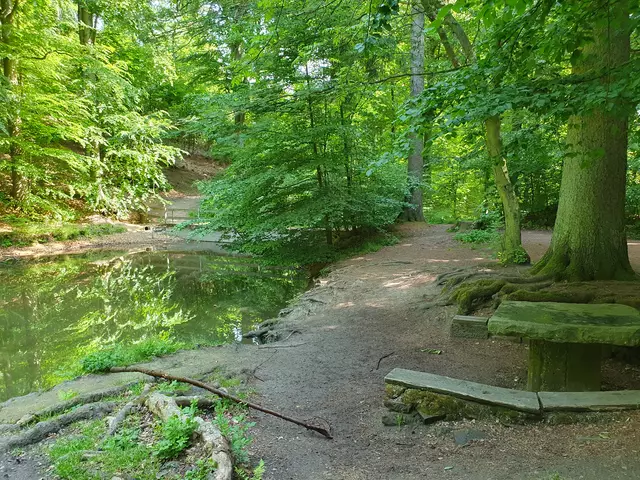 Der Teich im Sonnenschein