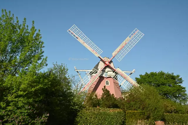 Mühlenmontag (Foto: Katja Woidtke)

Erdholländer in Quelkhorn | Foto: Katja Woidtke