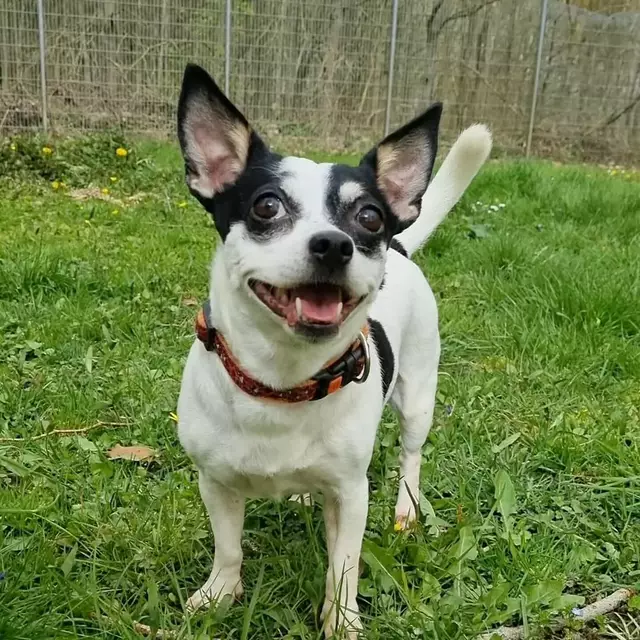 Bonny | Foto: Sabine Pollok