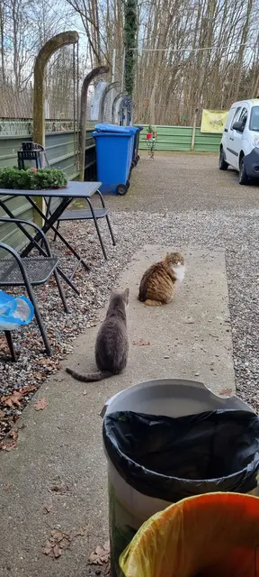 Mila und Shircan | Foto: Sabine Pollok