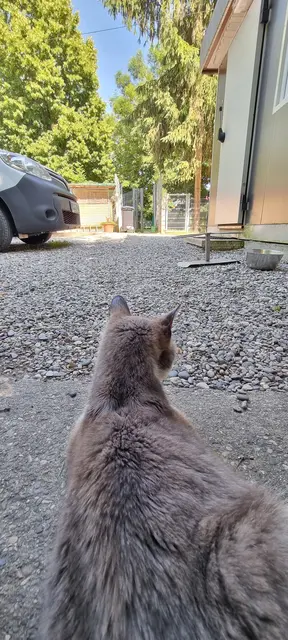 Shircan | Foto: Sabine Pollok