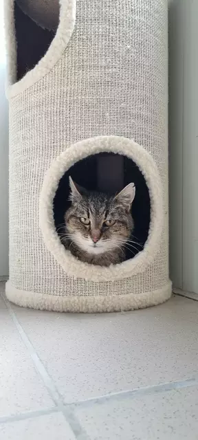 Leb Wohl Granny | Foto: Sabine Pollok