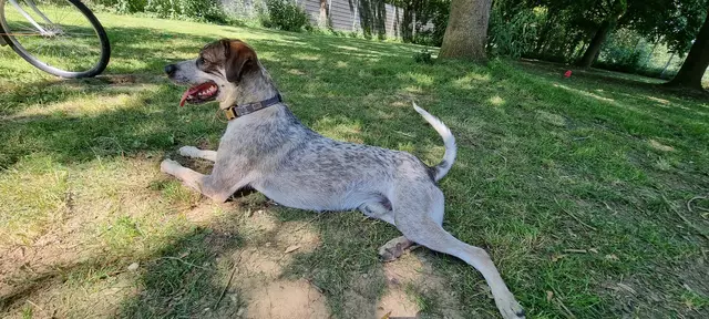 Eddi | Foto: Sabine Pollok