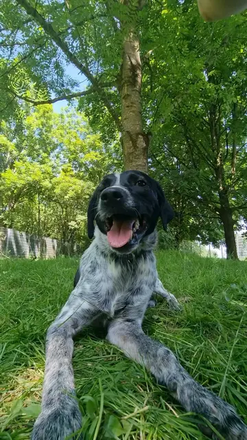 Emil | Foto: Sabine Pollok