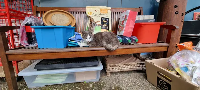 Shircan | Foto: Sabine Pollok