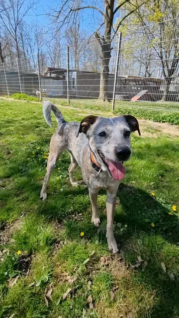 Emma | Foto: Sabine Pollok