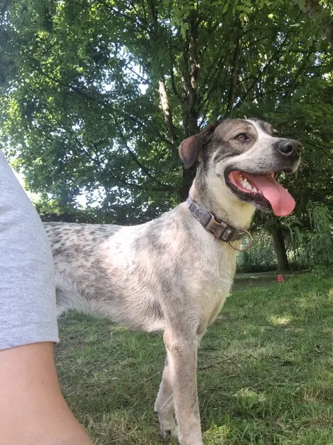 Eddi | Foto: Sabine Pollok