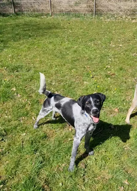 Emil | Foto: Sabine Pollok