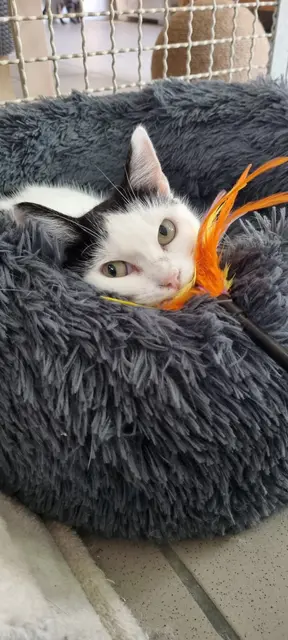 Sissi | Foto: Sabine Pollok