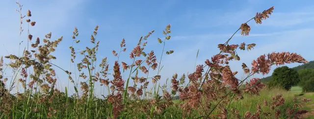 Ausschnitt aus dem Original-Foto. | Foto: M. A.