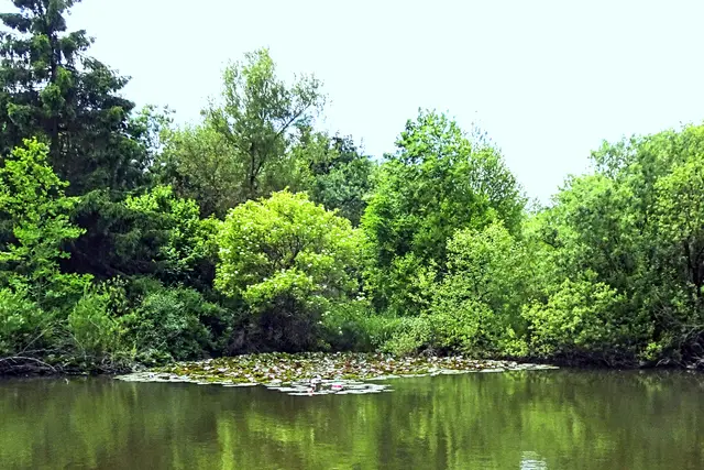 der Hüttenteich