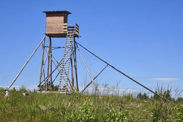 ein recht hoher Hochstand