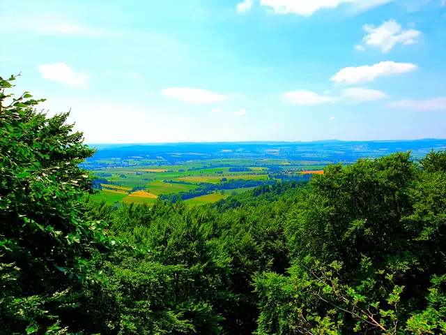 Toller Blick von der Aussichtsplattform