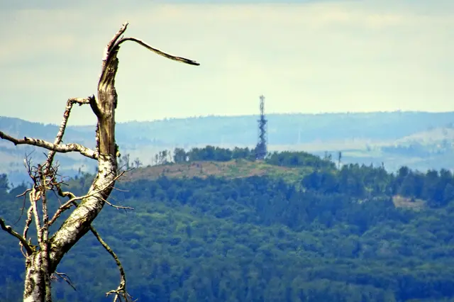 Blick von der Großen Harzhöhe auf den Carlsturm 