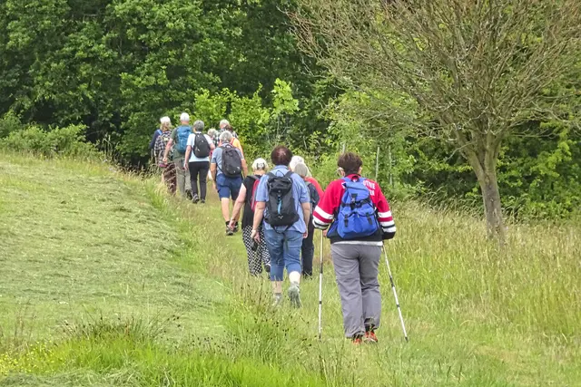 auf dem Wiesenweg