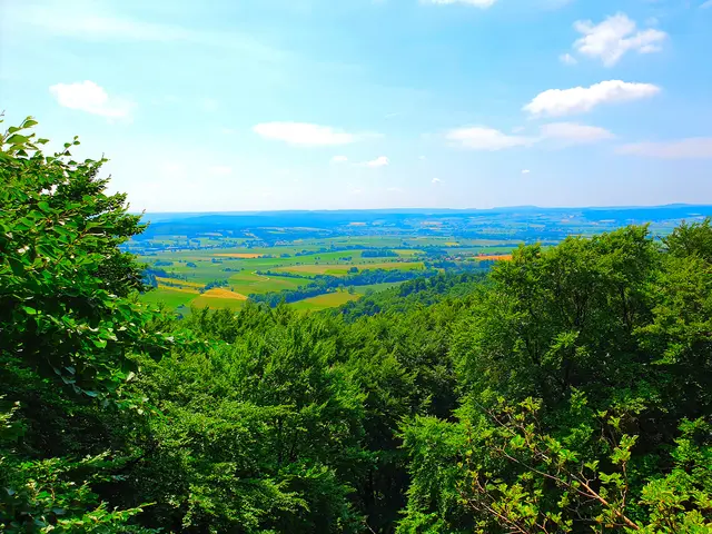 Tolle Aussicht in die Natur von der Aussichtsplattform