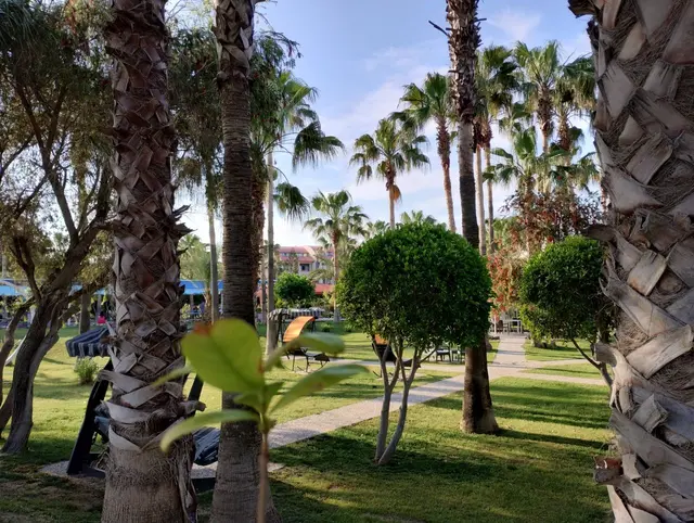 Hotelgarten Golden Coast.
