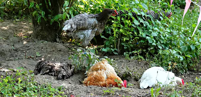 Alle Gruben sind belegt