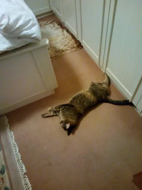 Hier kann man so gut räkeln.