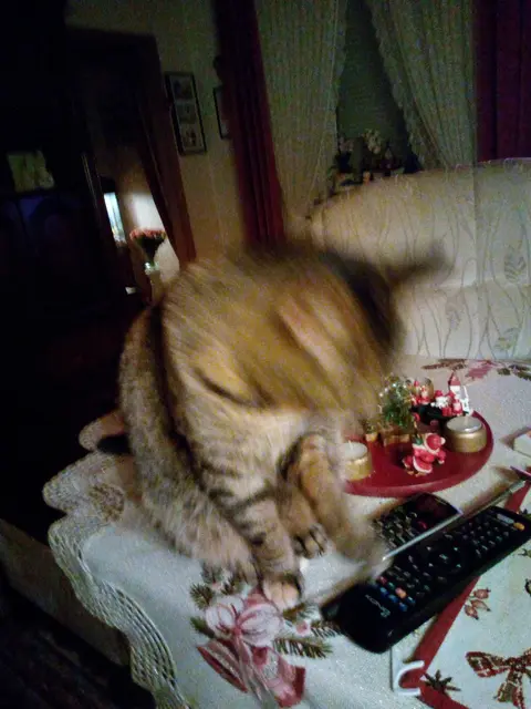 Hier bin ich richtig wütend.