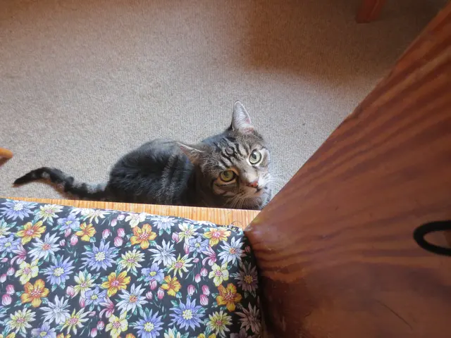 Schon wieder ein Foto.