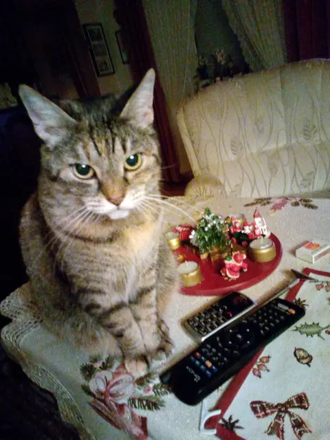 Ich glaube e gibt jetzt Ärger ,ja das sieht man auf den anderen Bildern.