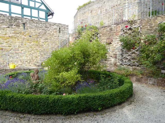 Rosengarten 2025-27, 06.07.2025.