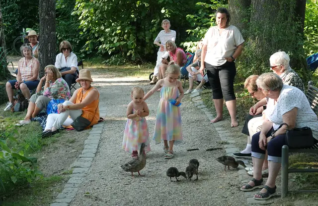 Die "Hausherrinnen" des Entenweihers zeigten sich völlig unbeeindruckt von der Musik und den vielen Menschen ...
