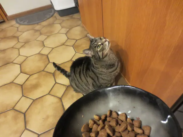 Kriege ich jetzt Leckerlie ?