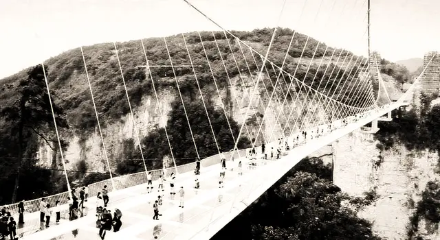 Amadeus - 1 Punkt - Glasbrücke Zhangjiajie